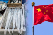 【悲報】韓国人「日本より中国の方が嫌だ」中国海関「韓国産水産物包装からコロナ19検出」と明らかに　韓国の反応