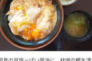 靖国神社「特攻隊が最後に食べた親子丼を再現しました」参拝客「美味しい～」