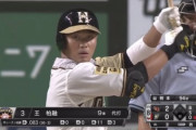【悲報】日ハム王柏融、ついに打率.081へ…