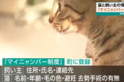 群馬・大泉町、猫と飼い主の情報を町に登録する「マイニャンバー制度」導入へ