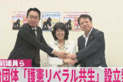 楽韓さん、本日の動向 - 政治団体「ゴリラ」ですって