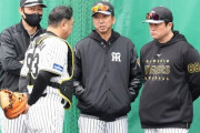 阪神藤川監督「プレーの意図分かってない初心者マークついた選手いる。栄枝(27)って何年目？5年目！？
