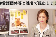【失踪の門倉コーチも関与】女優・杉本彩の動物愛護団体　「ばんえい競馬」廃止の要望書を提出