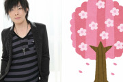谷山紀章さん、真冬の桜を撮影！？ロマンチックな1枚に「まさに雪の花」「芸術家だなぁ」