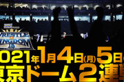 いよいよ明日新日本プロレス東京ドーム大会ですね