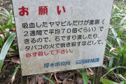 厚木市役所「吸血したヤマビルは産卵できるので石ですりつぶすなりタバコで焼き殺すなりして、『必ず殺してください』」