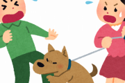 散歩中の犬に「触らせて」と近づき、ワザと噛まれて慰謝料を弁護士とグルになってふんだくる「噛まれ屋」が発生中！！