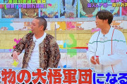 【悲報】現代のテレビさん、色彩感覚がおかしいｗｗｗｗｗｗｗｗｗｗｗｗ