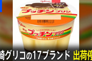 【特大悲報】プッチンプリン、出荷停止・・・
