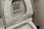 【悲報】アニメアイコン「同棲中の家に帰ったら、トイレがこの状態だった…」ﾊﾟｼｬ