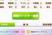 【ウマ娘】ルムマで見かけたスティルだけど、めちゃくちゃ理想的な継承ビルドしてない？