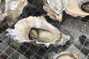 牡蠣「当たります」「加熱で縮みます」「冷凍で風味落ちます」←これが人気な理由