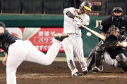 阪神近本、２戦連続マルチ安打の好調も「まだまだ」