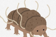 【悲報】中国人さん、クマムシの遺伝子を人間に注入へ…核戦争にも耐えうるミュータント兵士を開発か