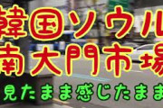 [無料動画]韓国ソウル南大門市場　見たまま感じたまま