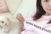 【画像】SKE48 惣田紗莉渚さん、しっかりカンマ打つところ大人だなあ！
