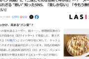 【謎】チー牛、豚丼呼びが許されて「片親パン」呼びが許されない理由（ワケ）ｗｗｗｗ
