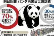 【朝日世論調査】国民はパンダ見ようと4時間の列！再来日のため中国に働きかけるべきか？　国民70%「あ、その必要はないです」