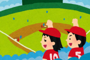 野球応援って悲しくないか？自分にはどこまで行っても関係ない