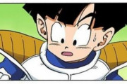 【ドラゴンボール】悟飯くん「ピッコロさんは相手の強さが分からない人じゃない（確信」