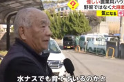 近隣住民「何かおかしいとは思っていた」 農業用ハウスで大麻を栽培していた2人を逮捕