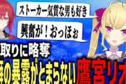 【にじさんじ】たかみやくんがシーモアユウナに興奮してたのはガチ性癖やったんか