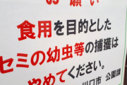 「食用」でセミの幼虫捕らないで。公園に出現の看板話題ｗｗｗ