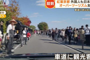 紅葉の京都に観光客が殺到宿泊料金“倍に値上げ”も…訪日客「それでも安い」