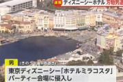 東京ディズニーシーの宴会場に刃物を持って侵入した男逮捕される　中国人でした
