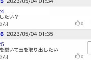 【悲報】爆サイ民、玉をえぐり取られる