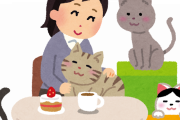 猫カフェ「抱きかかえないでください」「疲れるので興奮させないでください」