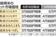 新潟コシヒカリ価格急落、3割安　備蓄米効果か、業者間取引で