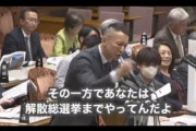 立憲・徳永エリさん、山本太郎の質疑中に笑っていたということで炎上してしまう