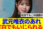 【櫻坂46】武元唯衣のあれ、紅白でもいじられるwww