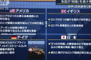 韓国「うちもロシア制裁するって言ったのにアメリカに制裁パートナーから外されたんだが…」
