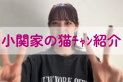 【悲報】小関舞、ようつべ2回目投稿で早くも猫紹介という最後の切り札を出してしまう