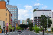 なんで日本の街並みってゴチャゴチャしてるんだ？ヨーロッパみたいに統一感ある街並みにできないのか？