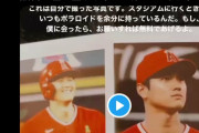 【動画】大谷の乱闘www