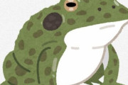 食用ガエルってなんで日本で流行らないの？