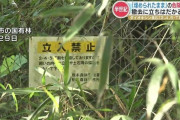60年前の日本人「除草剤どうやって処分しよう…うーん…とりあえず埋めとこ！」
