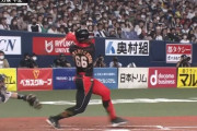 万波中正(23) .250 29打点 9HR OPS.830