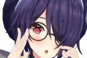 【悲報】人気Vtuberさん、ファンのアカウントをフォローしてしまい大荒れしてしまう･･･