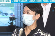 【民主】新党衆参合わせて150人規模野党第一党へ…山尾志桜里は残留
