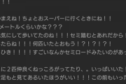 ヤマトイオリの怪文書、勢いは増すばかり【Vtuber】