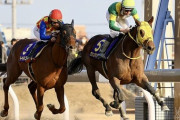 【川崎記念】オルフェーヴル種牡馬大成功！！ ウシュバテソーロが快勝
