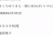 【悲報】100ワニ作者、2件目の訴訟でも敗訴。一体何故…？