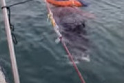 【動画】 2年前から音信不通になっていた母親、海で漂流しているところを発見される