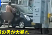 海外「目的は何だ？」茨城で全裸の外国人が突然大暴れ！（海外の反応）