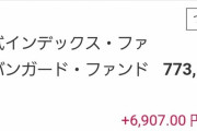 ワイの積立NISA、ぎりぎりプラスで年を越す