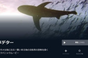 【悲報】サメ映画さん、遂に『海』に出没してオタク達を驚愕させてしまうｗｗｗｗ